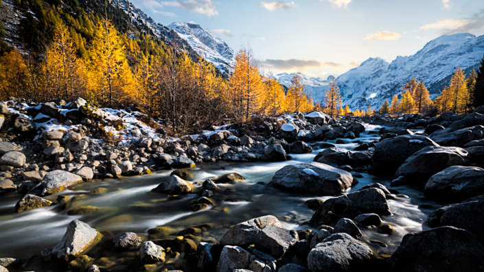 Morteratschgletscher Bernina mit goldene Lärchen em Engadin