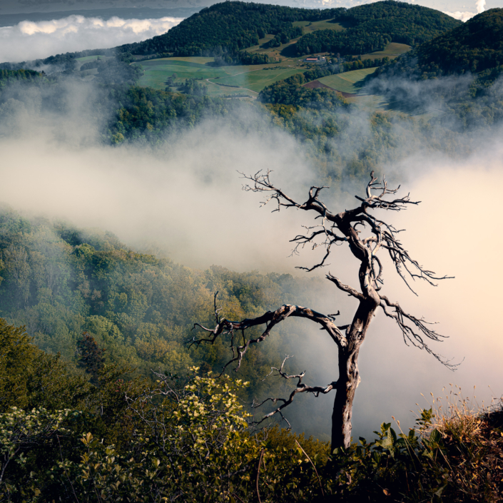 Wasserflue Aarau Jura