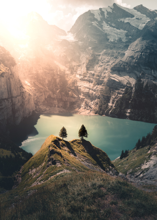 Oeschinensee Kandersteg 2 Tannen im Sonneaufgang