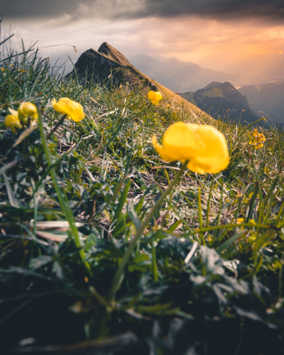 Augstmatthorn Aussicht Harder Kulm, SuggitureAugstmatthorn Aussicht Harder Kulm, SuggitureAugstmatthorn Aussicht Harder Kulm, Suggiture