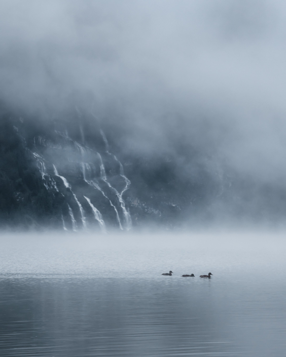 Oeschinensee im Nebel mit Enten Berner Oberland