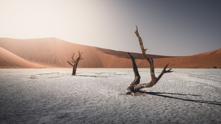 Deadvlei Namibia