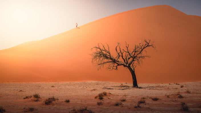 Sanddüne Deadvlei, Sossusvlei, Big Daddy, Big Mama, Namibia