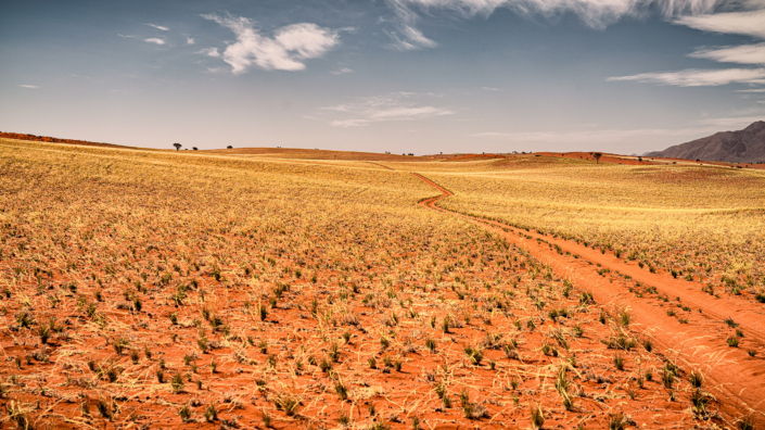 red sand desert dune Namibia