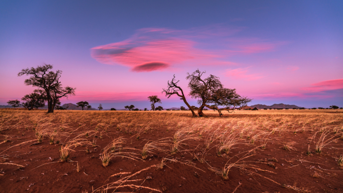 red sand desert dune Namibia