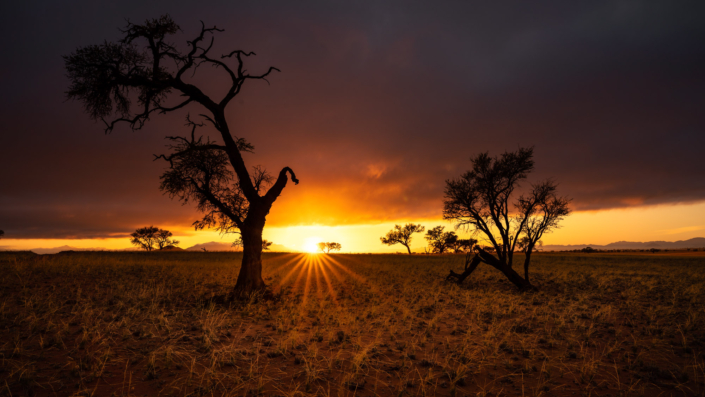 red sand desert dune Namibia