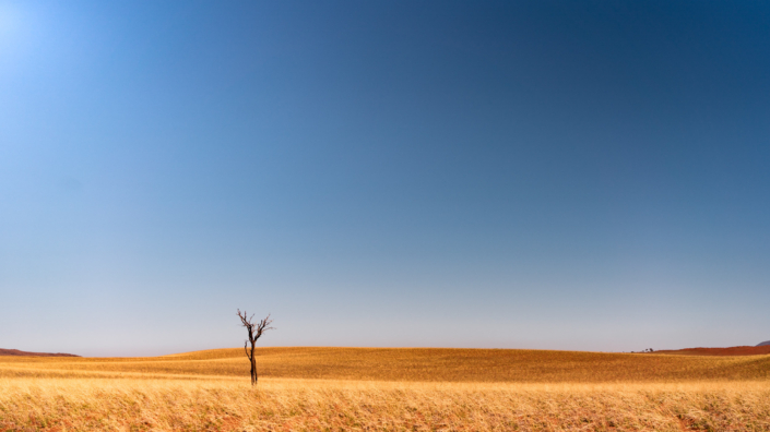 red sand desert dune Namibia