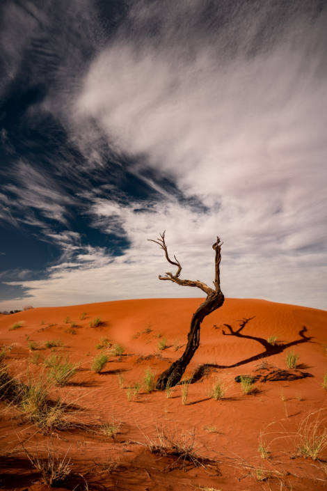 red sand desert dune Namibia