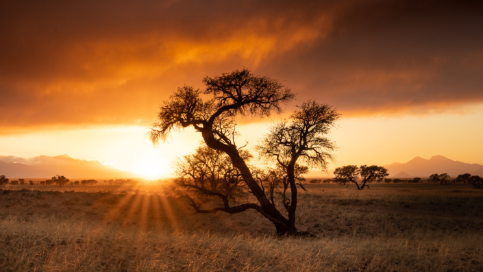 red sand desert dune Namibia