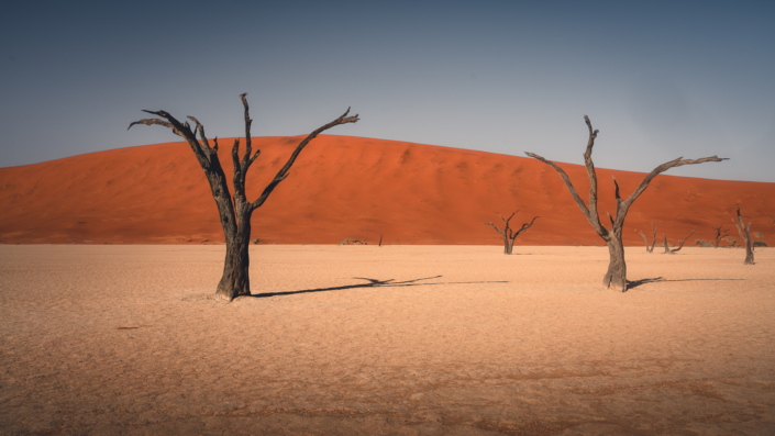 Deadvlei Namibia