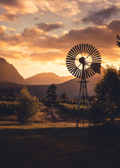 Windmühle im Sonnenuntergang