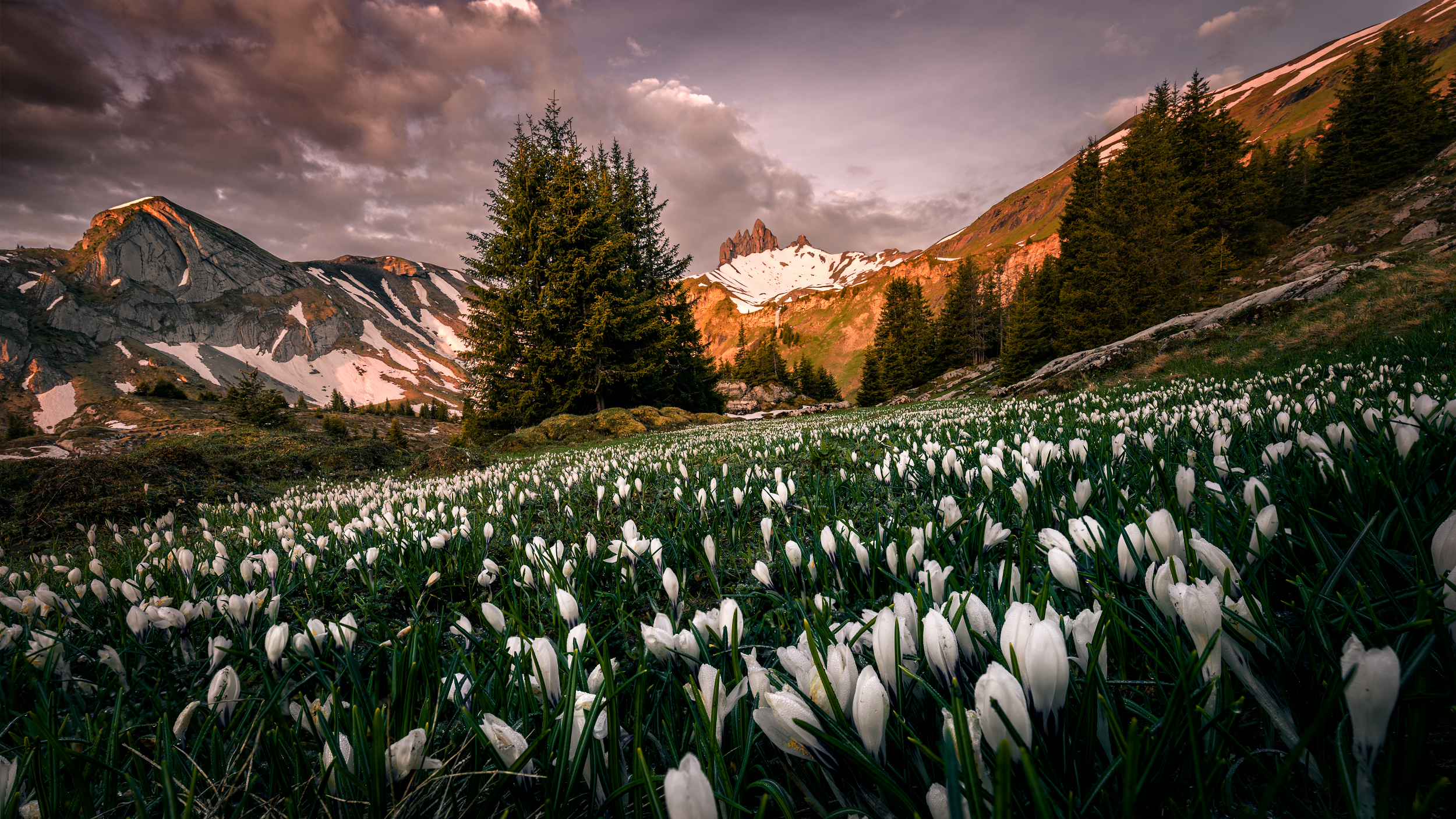 Oliver Dietschi Photography