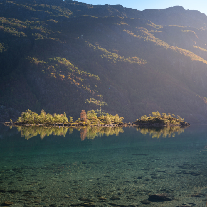 Insel mit Bäumen im weichen Sonnenlicht