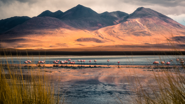 salt flat bolivia volcano with snow sunset