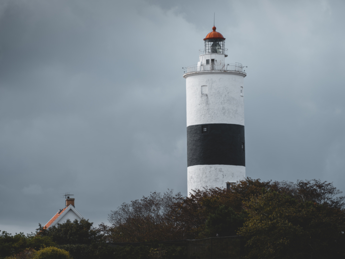Die Ostseeinsel Öland ist ein schwedisches Sommerparadies