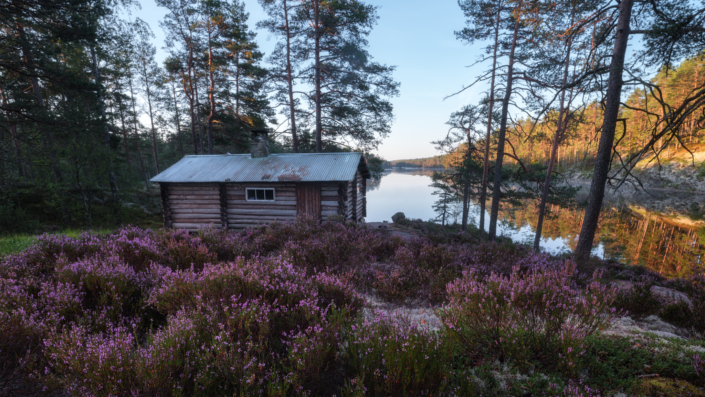 Tresticklan Nationalpark, unebrührte Natur