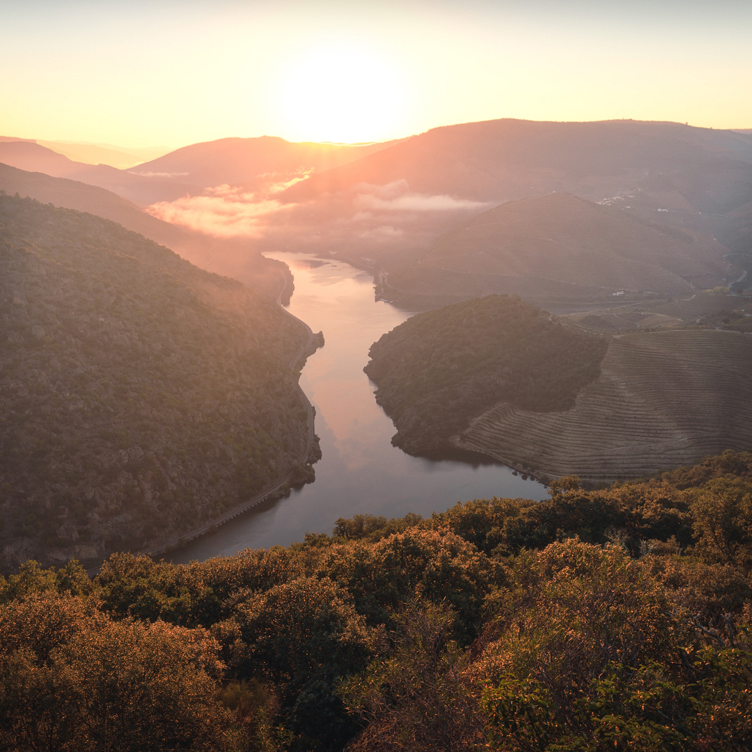 Portugal Douro Valley