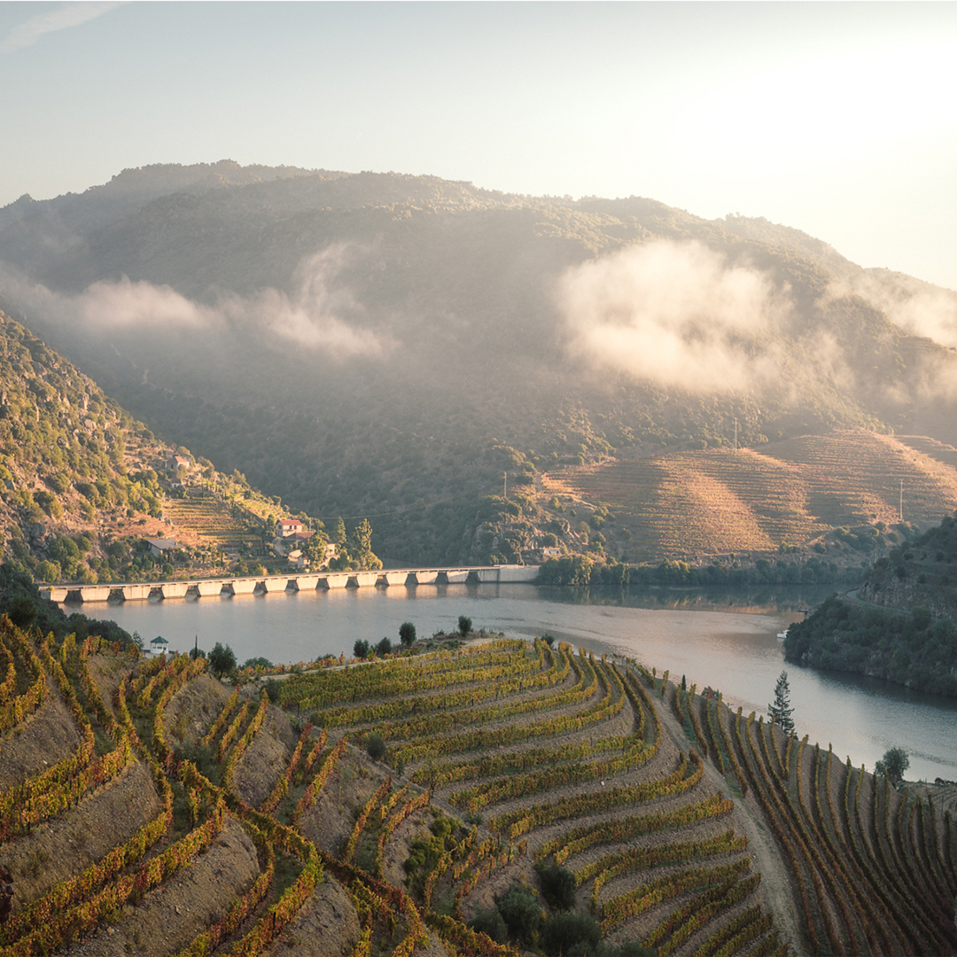 Portugal Douro Valley