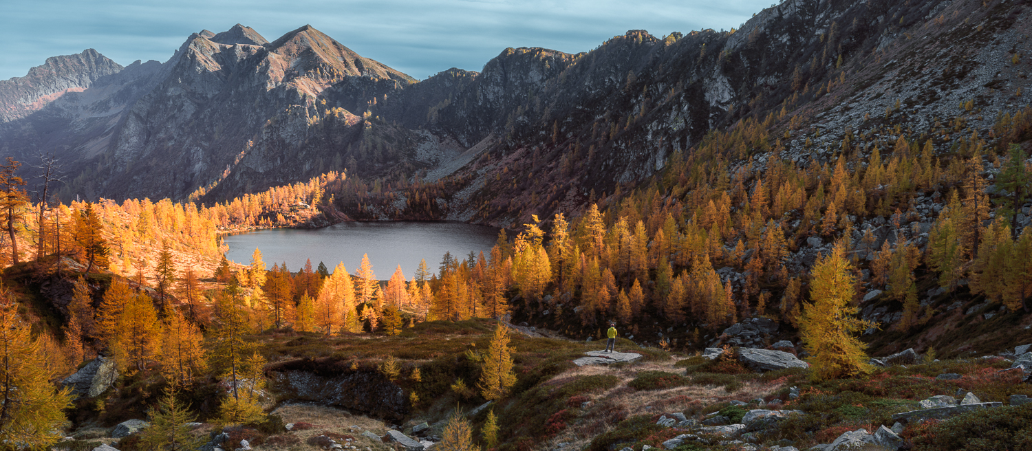 traumhafte Herbst Stimmung, Lärchen mit See